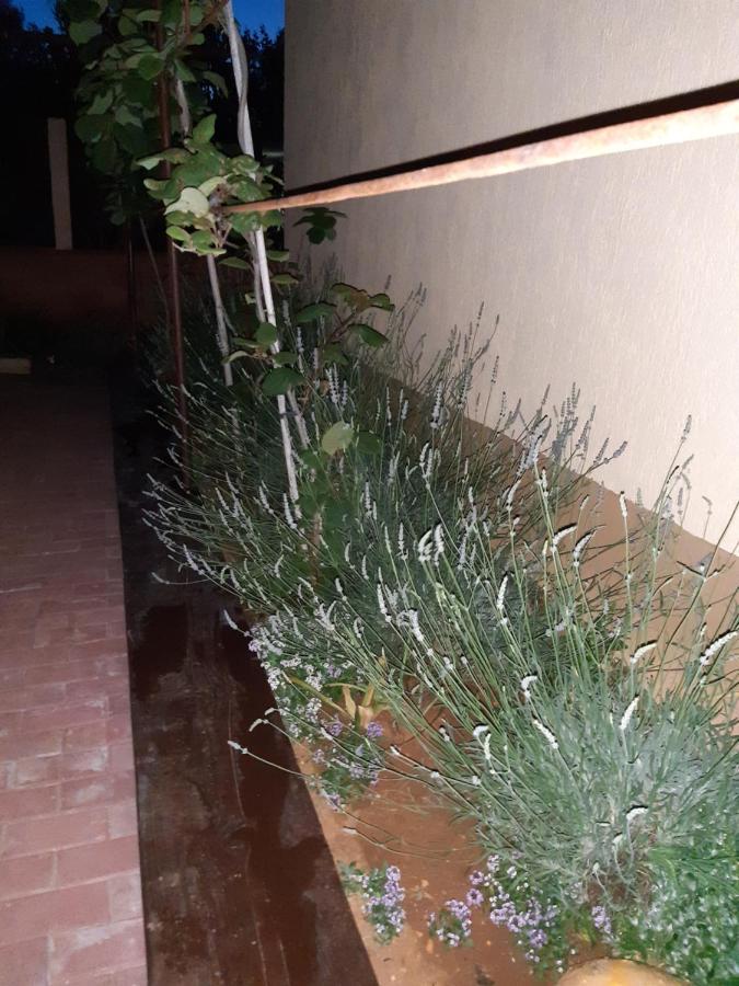 Studio Apartman San 3 Ližnjan Dış mekan fotoğraf