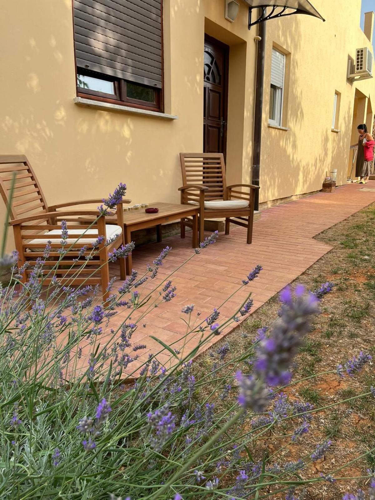 Studio Apartman San 3 Ližnjan Oda fotoğraf